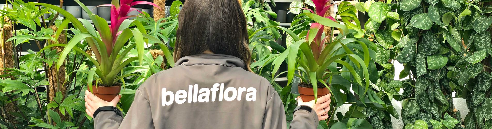 202504_sonntagsoeffnung