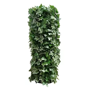 Sichtschutzmatte Efeu