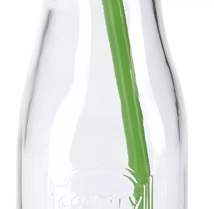Limoflasche mit Deckel inkl. Strohhalm