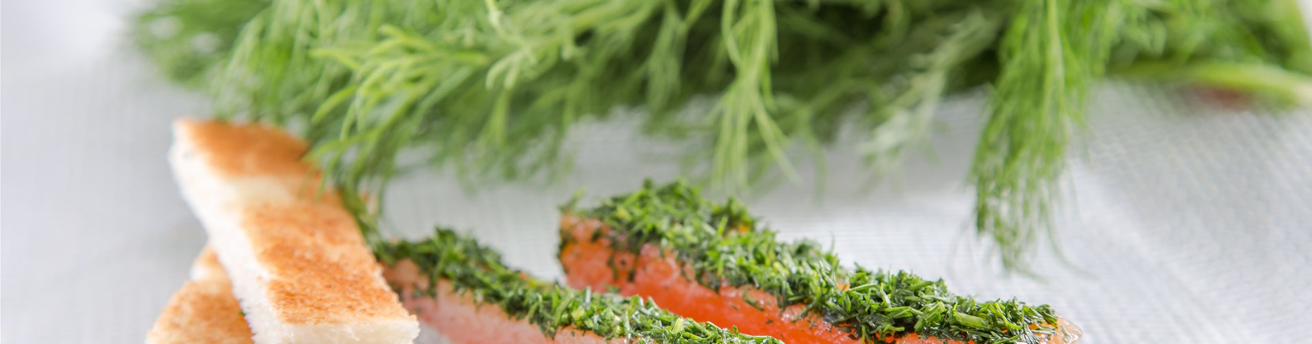 Gebeizte Lachsforelle mit Dill Gebeizte Lachsforelle mit Dill