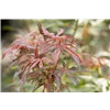 bellaflora Gartencenter GmbH