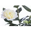 bellaflora Gartencenter GmbH