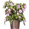 bellaflora Gartencenter GmbH