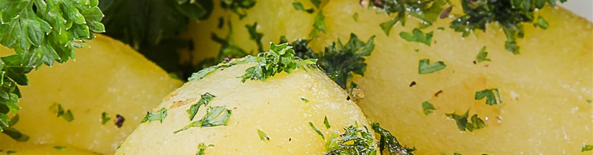 Petersilkartoffel mit krauser Petersilie Petersilkartoffel mit krauser Petersilie