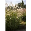 bellaflora Gartencenter GmbH