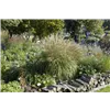 bellaflora Gartencenter GmbH