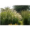 bellaflora Gartencenter GmbH