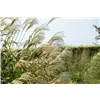 bellaflora Gartencenter GmbH