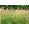 bellaflora Gartencenter GmbH
