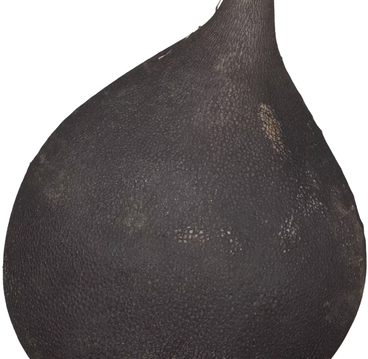 Rettich 'Runder Schwarzer Winter'