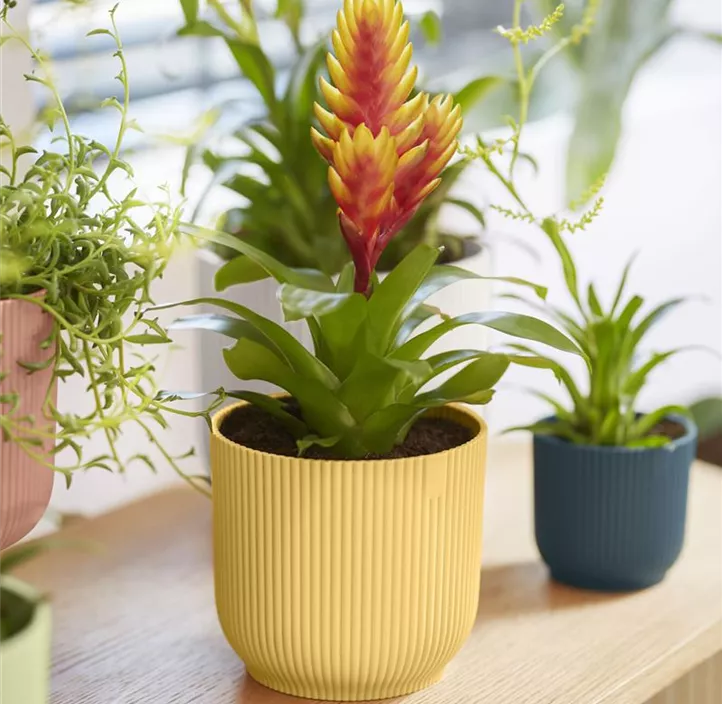 UV-beständig, 100 % Recyclingmaterial