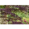 bellaflora Gartencenter GmbH