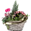 bellaflora Gartencenter GmbH