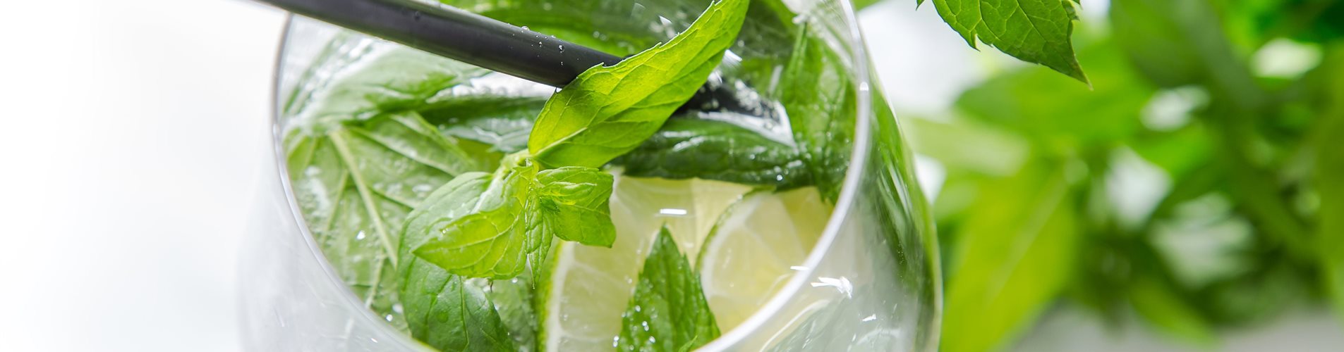 BF_Kraeuter_Gericht_mmg-design-369-0-570-5472-3078 BF_Kraeuter_Gericht_mmg-design-369-0-570-5472-3078