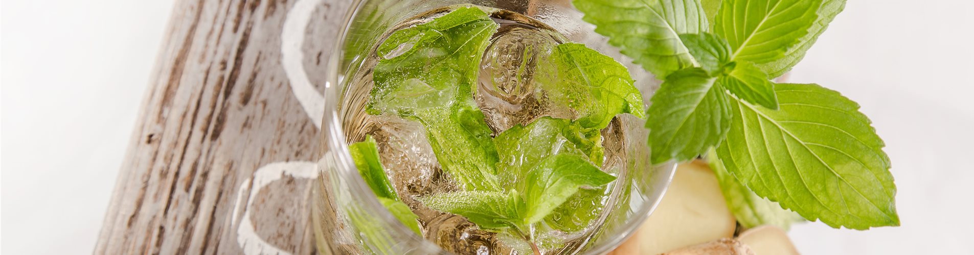 Ingwerminze_mmg-design-238-0-283-5472-3078 Ingwerminze_mmg-design-238-0-283-5472-3078