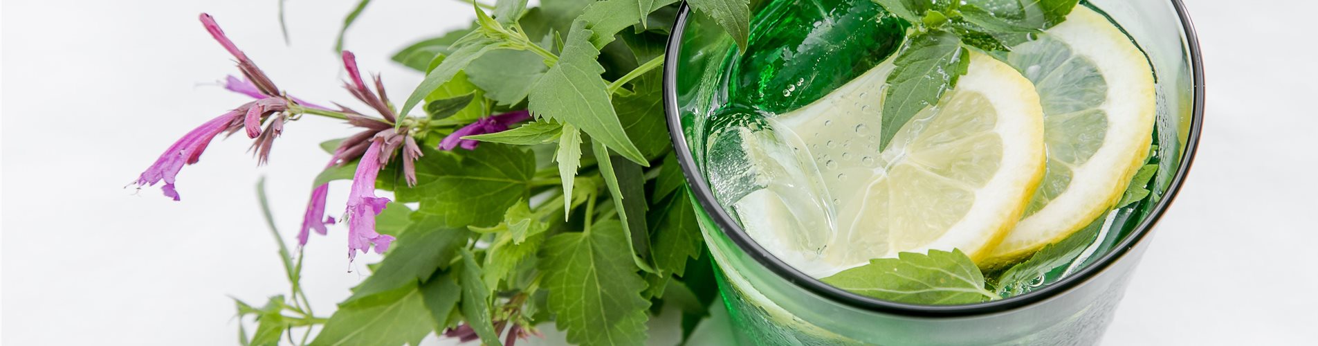 Limonade mit Limonadenpflanze und Zitrone in einem Glas Limonade mit Limonadenpflanze und Zitrone in einem Glas