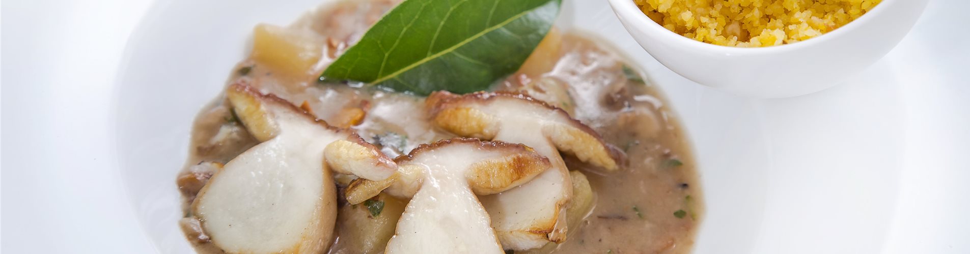 Lorbeer_mmg-design-129-0-570-5472-3078 Lorbeer_mmg-design-129-0-570-5472-3078