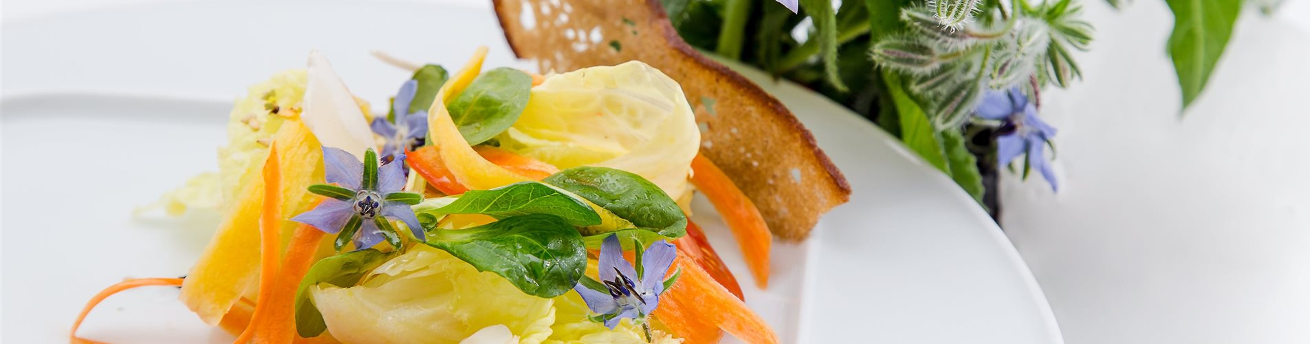 Borretsch_mmg-design-237-0-570-5472-3078 Borretsch_mmg-design-237-0-570-5472-3078