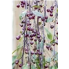 bellaflora Gartencenter GmbH
