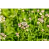 bellaflora Gartencenter GmbH