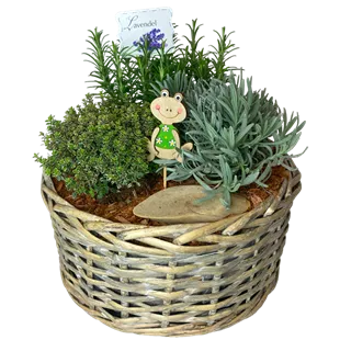 Kräuter-Korb bepflanzt mit verschiedenen Kräutern