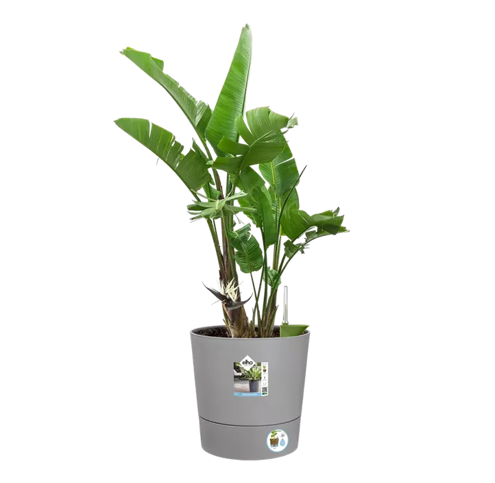 Pflanztopf Greensense aqua care