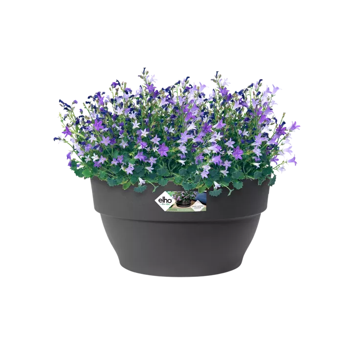 Vibia Campana Schale