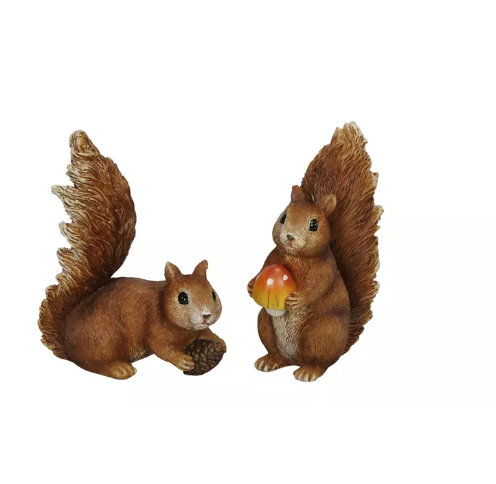 Eichhörnchen Pilz oder Zapfen