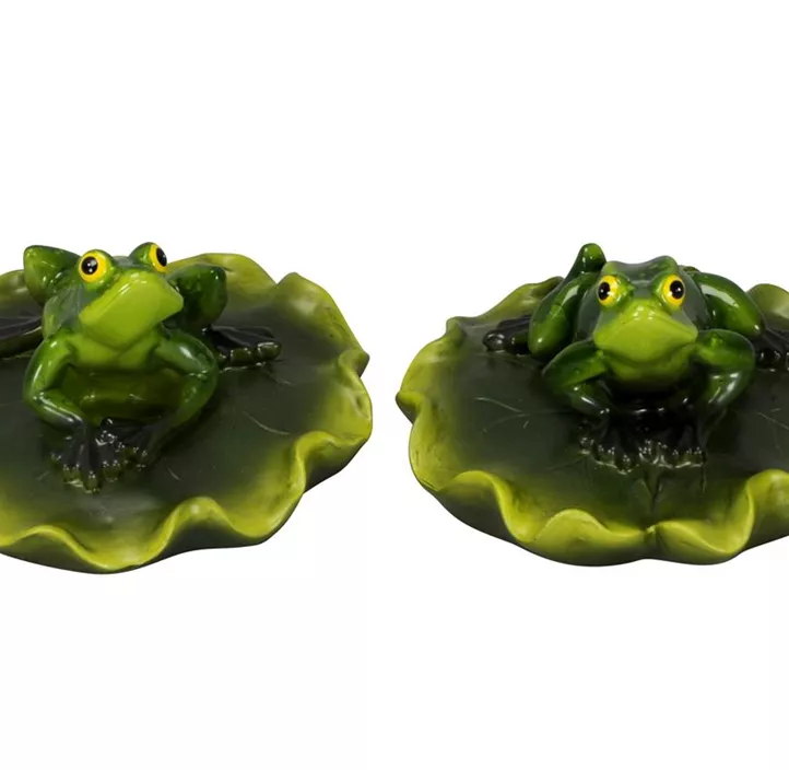 Frosch auf Blatt