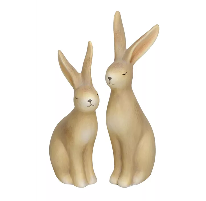 Hase