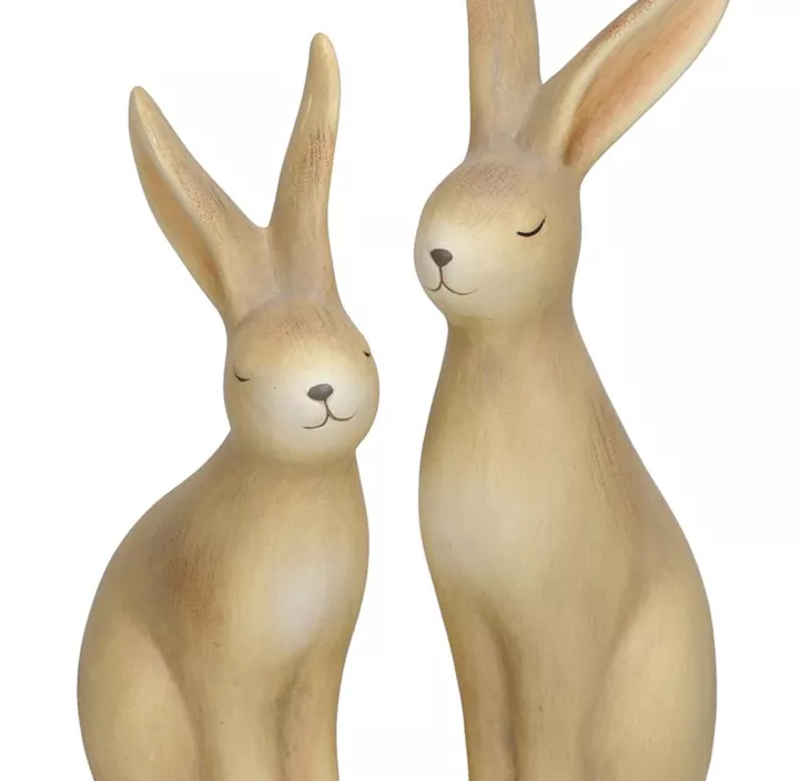 Hase
