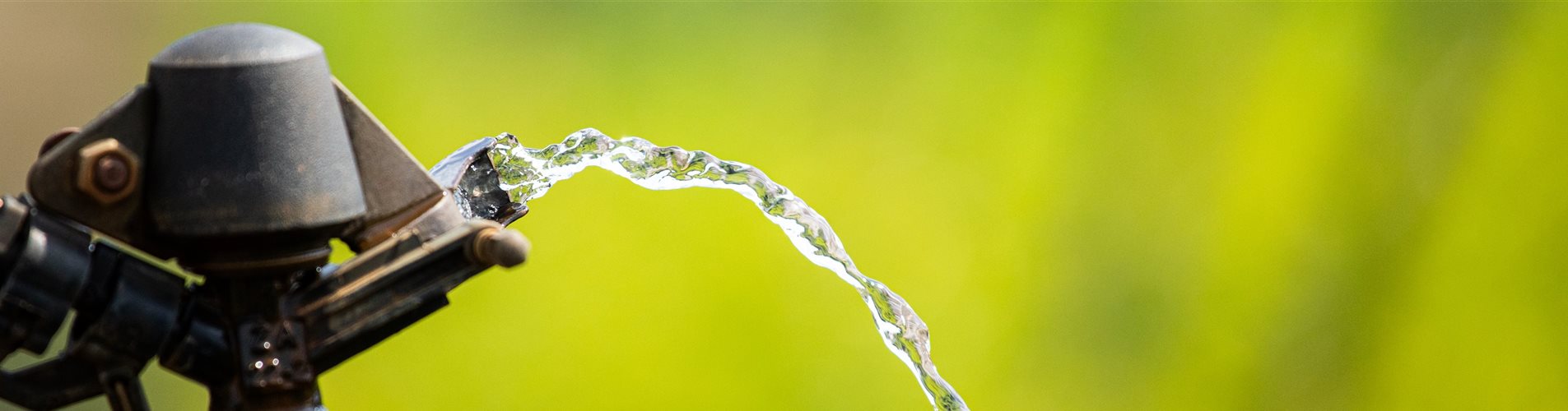 Pflanzenbewässerung Pflanzenbewässerung