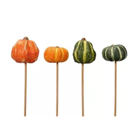 Kürbis Stecker, 4er