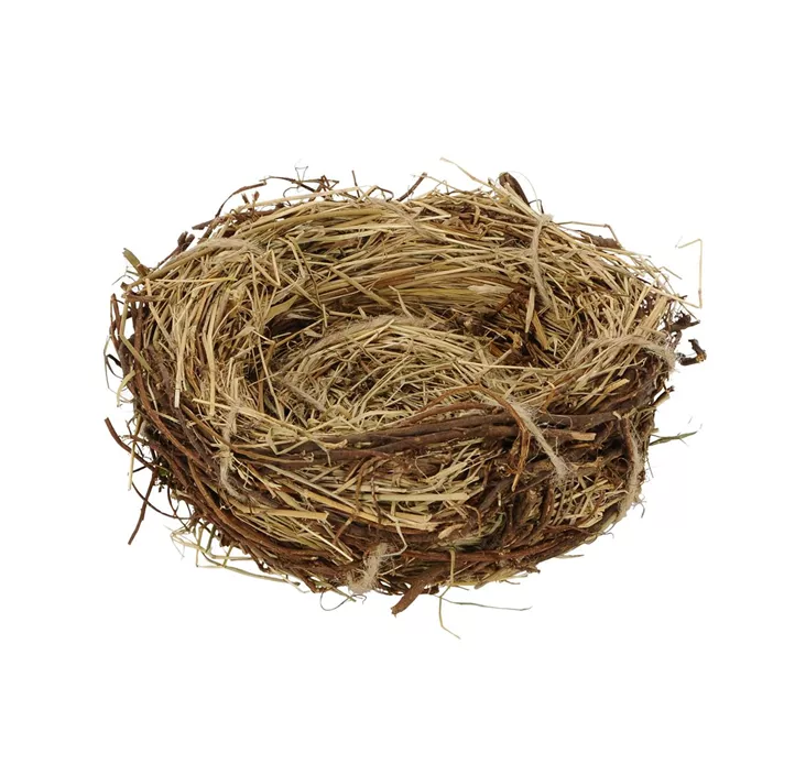 Nest Gras