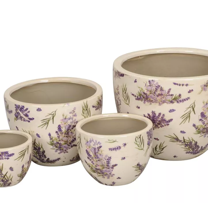 Kuebel Lavendel
