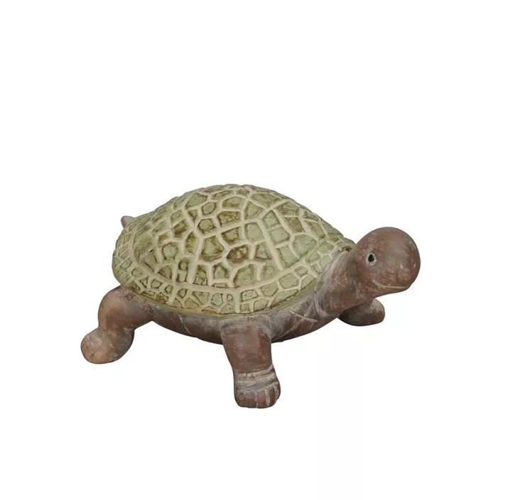 Schildkröte