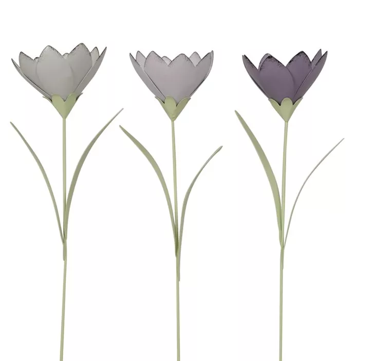 Stecker Blüte stehend