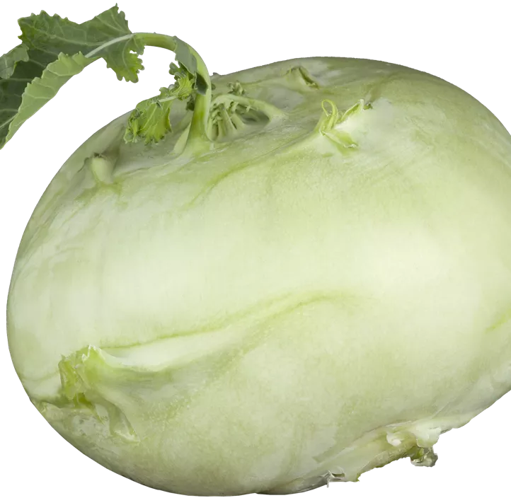 Kohlrabi