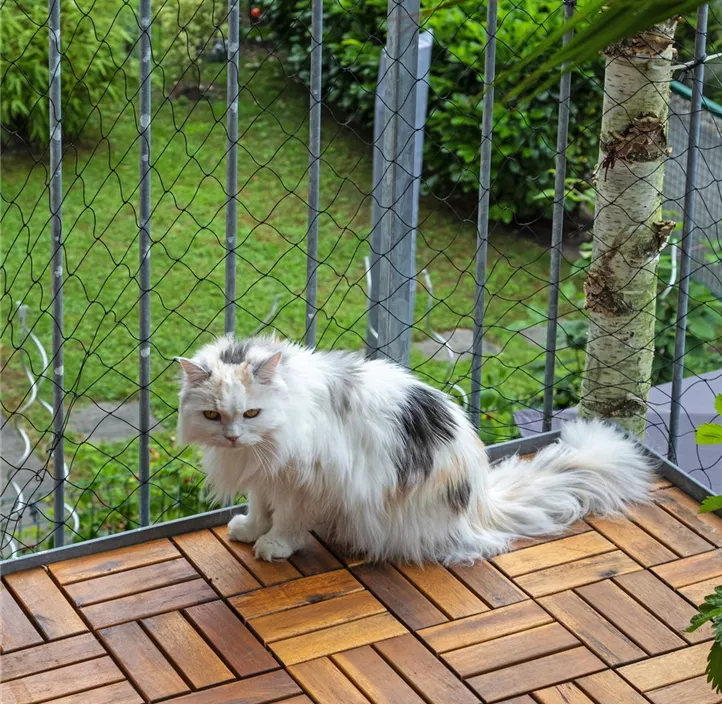 Katzenschutznetz