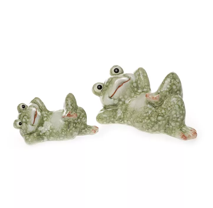 Frosch liegend