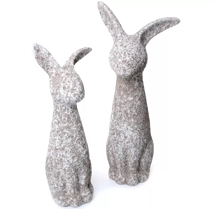 Hase