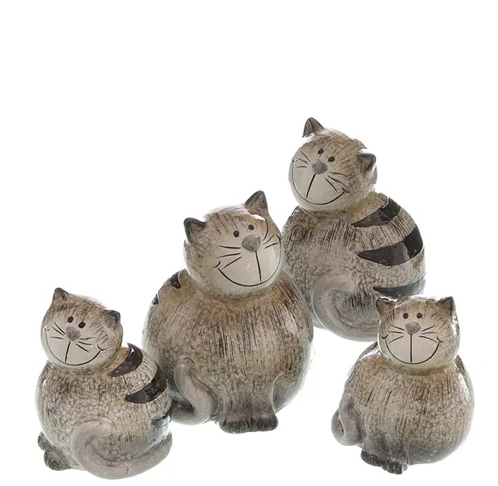 Katze