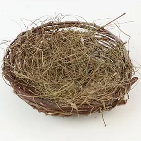 Nest