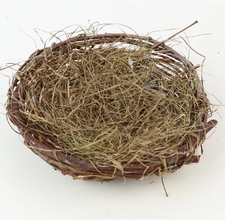 Nest