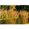 bellaflora Gartencenter GmbH