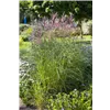 bellaflora Gartencenter GmbH