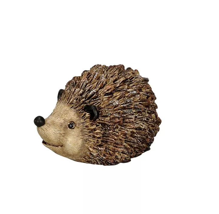 Igel