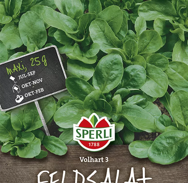 Feldsalat 'Dunkelgrüner Vollherziger'