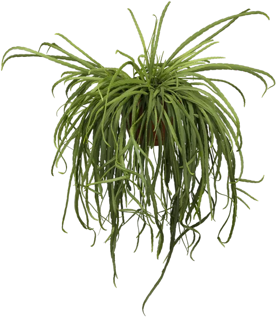 agave fourcroydes Nearly Natural 3.5 ft. Agave Artificial Plant main image 1