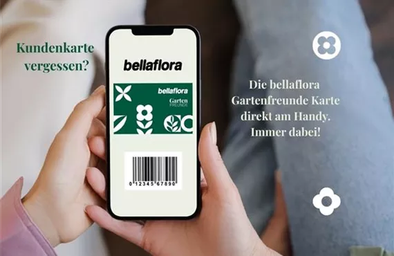 Kundenkarte am Smartphone.jpg Kundenkarte am Smartphone.jpg